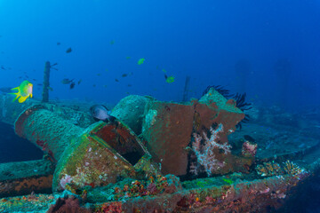 A Shipwreck photographed while scuba diving in Bali (Kubu Wreck Off Amed)