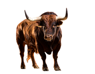 Powerful Brown Bull with Glowing Green Eyes and Curved Horns, Dark Background PNG