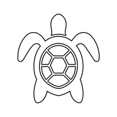 Obraz premium seaturtle line icon