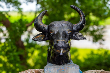 Concrete buffalo head. Picture clicked at Vedanthangal bird sanctuary, Tamil Nadu, South India,...