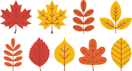 Autumn Leaves Vector Illustration Set of Fall Foliage in Various Colors