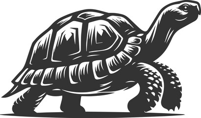 Drawing silhouette of a tortoise animal vector black