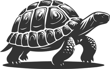 Drawing silhouette of a tortoise animal vector black