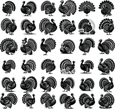 Turkey Silhouettes set vector black, animal turkey illustration silhouette