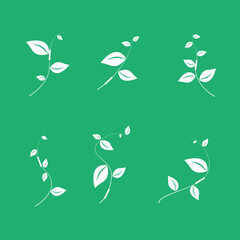 Eco leaf logo. Simple linear leaves of trees and plants. Elements for eco-friendly and biological logo, vegan. A collection of leaves