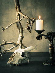 Old goats skull, atmospheric driftwood and vintage candlestick on the table, vertical image.