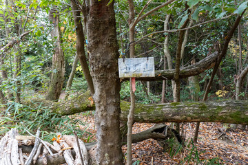 Kyoto Trail and surrounding area scenery