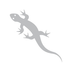 lizard icon