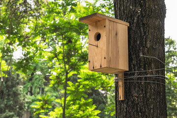 A wooden birdhouse is tied to a tree on a city boulevard. Copy space, blurred background.