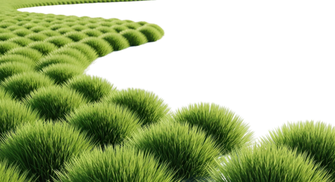 Green grass pathway landscape isolated PNG with Transparent Background