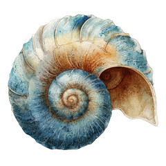 Stunning Watercolor Seashell Spiral Ocean Nature Artwork Blue Brown Tones Nautical Decor Design Element, transparent background