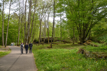remains of buildings, trees, the concrete town of bunkers Wolf's Lair in Gierłoż near Kętrzyn