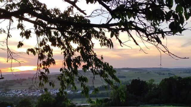 Sunset over landscape in Germany with France in the distance with silhouetted tree in the foreground.