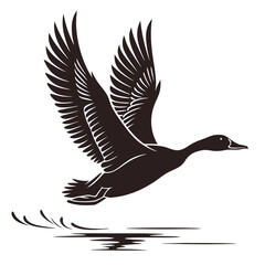 Obraz premium Elegant goose in flight silhouette