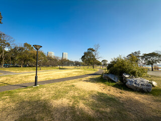 Tranquil Open Park Landscape Under a Clear Blue Sky