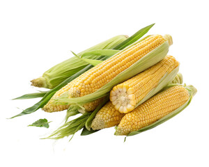 A vibrant still life featuring three ears of corn with green husks and leaves on a black background
