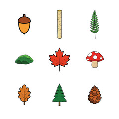 Vector art of collection of autumn forest elements isolated on white background