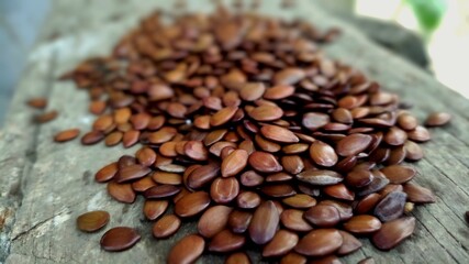 Dried seeds are ready to be planted