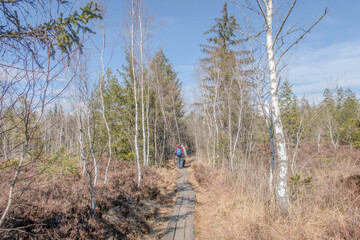 Fototapeta premium Sunny Spring of 2025