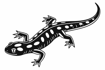 Fototapeta premium spotted salamander silhoette black vector 