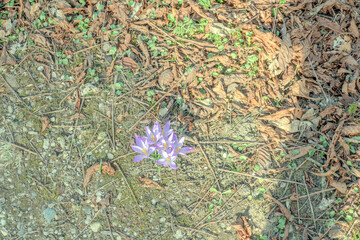 Sunny Spring of 2025