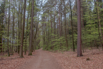 Sunny Spring of 2025