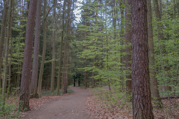 Sunny Spring of 2025