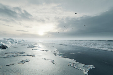 Aerial view of icy beach with snow covered cliffs and birds flying above