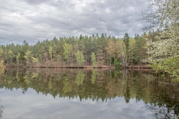 Sunny Spring of 2025