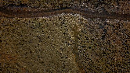 Susza na Stawach Przygodzickich