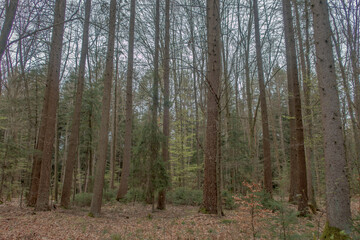 Sunny Spring of 2025