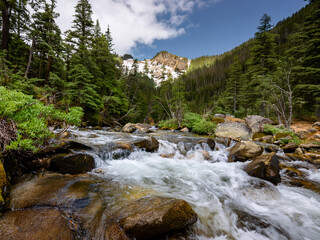 shadows and highlighting the intricate network of branches. The daytime temperatures are generally mild, but evenings can be significantly cooler, signaling the approach of winter.