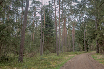 Sunny Spring of 2025