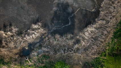 Susza na Stawach Przygodzickich