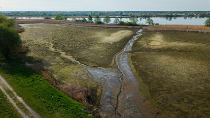 Susza na Stawach Przygodzickich