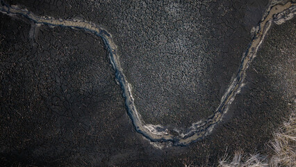 Susza na Stawach Przygodzickich