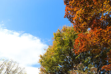 Sky-focused landscape photography