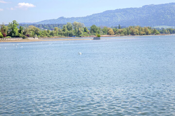 Sunny Spring of 2025