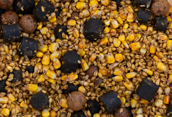 Bait made of various seeds, pellets and boilies for carp fishing