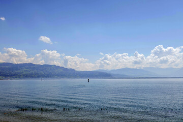 Sunny Spring of 2025