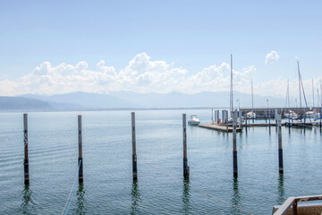 Sunny Spring of 2025