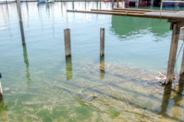 Sunny Spring of 2025