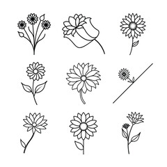 Coreopsis Flower Line Art Vector Set Collection