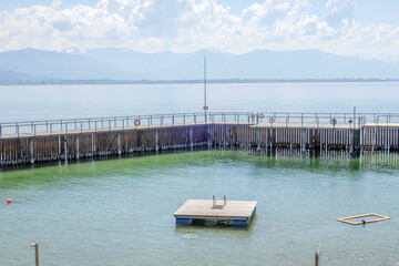 Sunny Spring of 2025