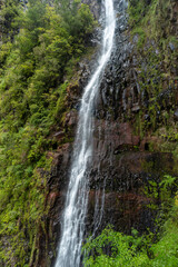 tropical waterfall stream