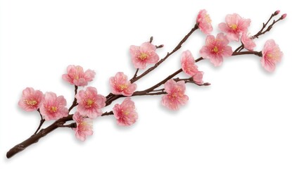 Obraz premium Pink cherry blossom branch against white background