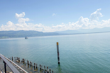 Sunny Spring of 2025