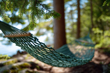 hammock between pine trees at summer campsite, light filtering through leaves, 