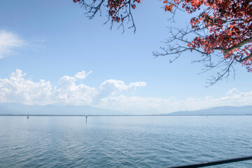 Sunny Spring of 2025