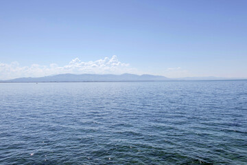 Sunny Spring of 2025